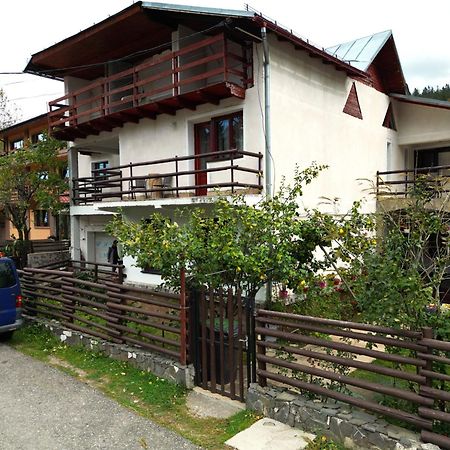 Vila Nik Buşteni Exteriér fotografie