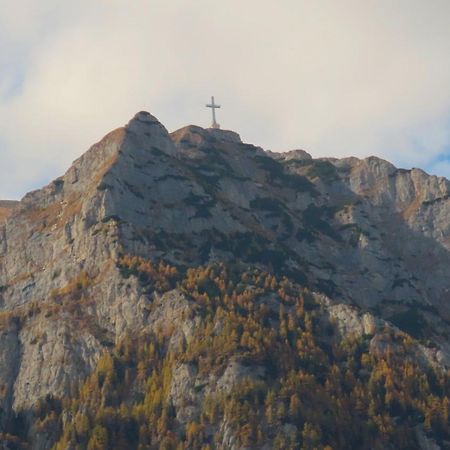Vila Nik Buşteni Exteriér fotografie