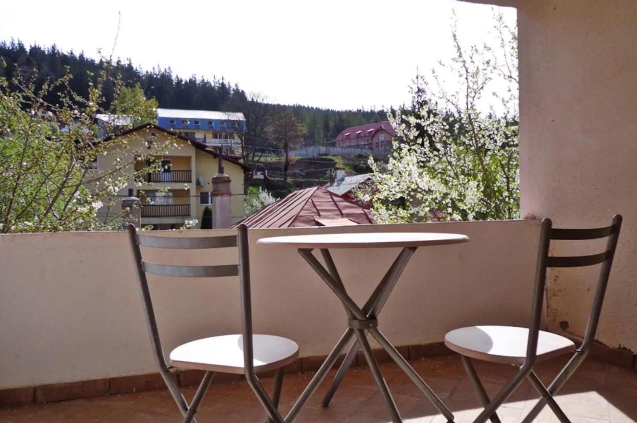 Vila Nik Buşteni Exteriér fotografie