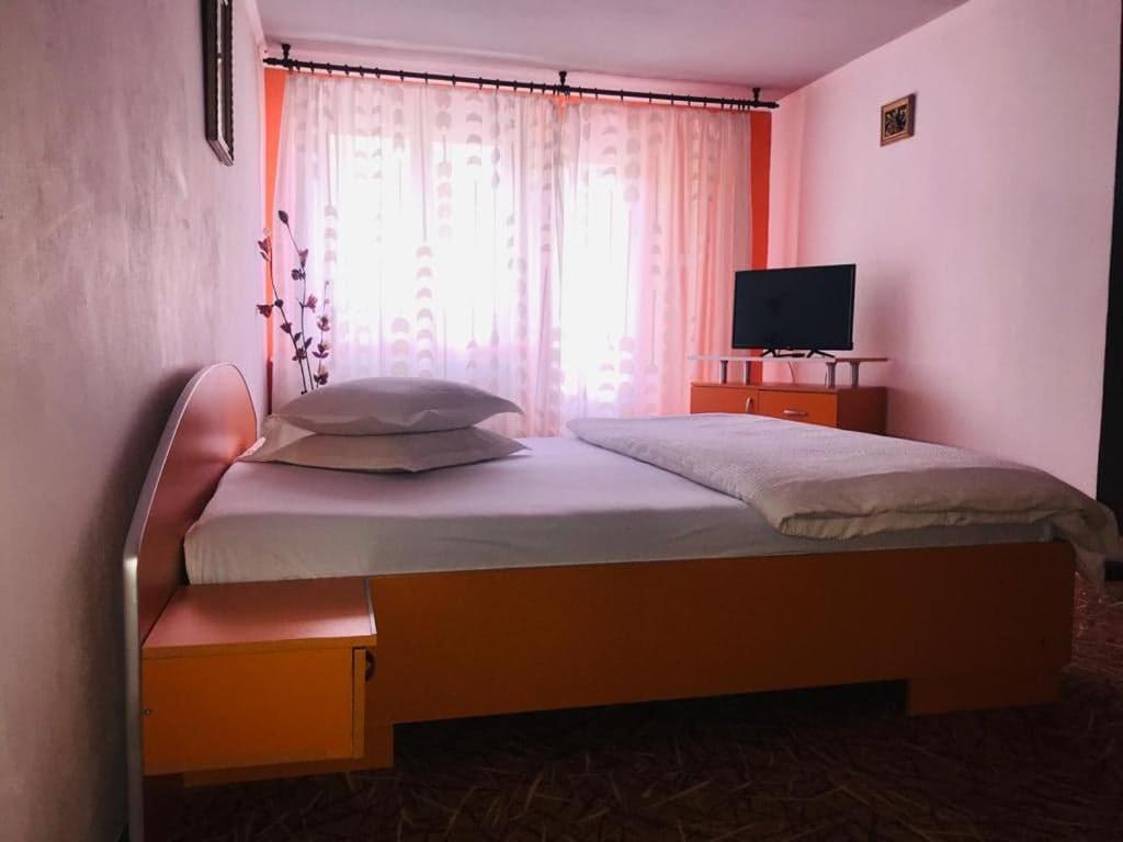 Vila Nik Buşteni Exteriér fotografie