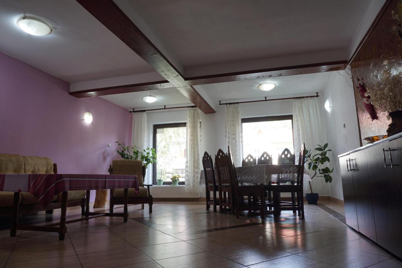 Vila Nik Buşteni Exteriér fotografie