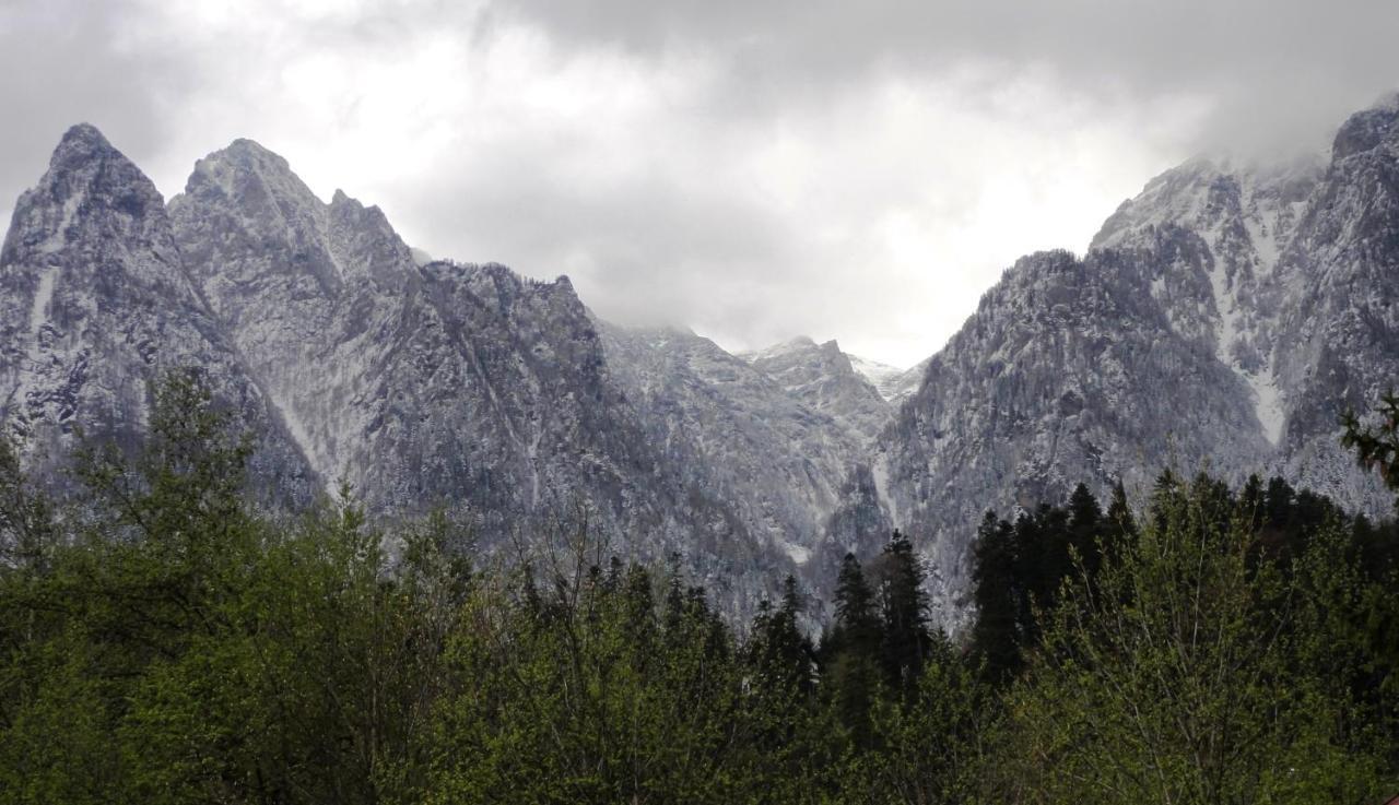 Vila Nik Buşteni Exteriér fotografie