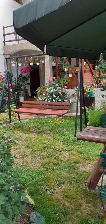 Vila Nik Buşteni Pokoj fotografie