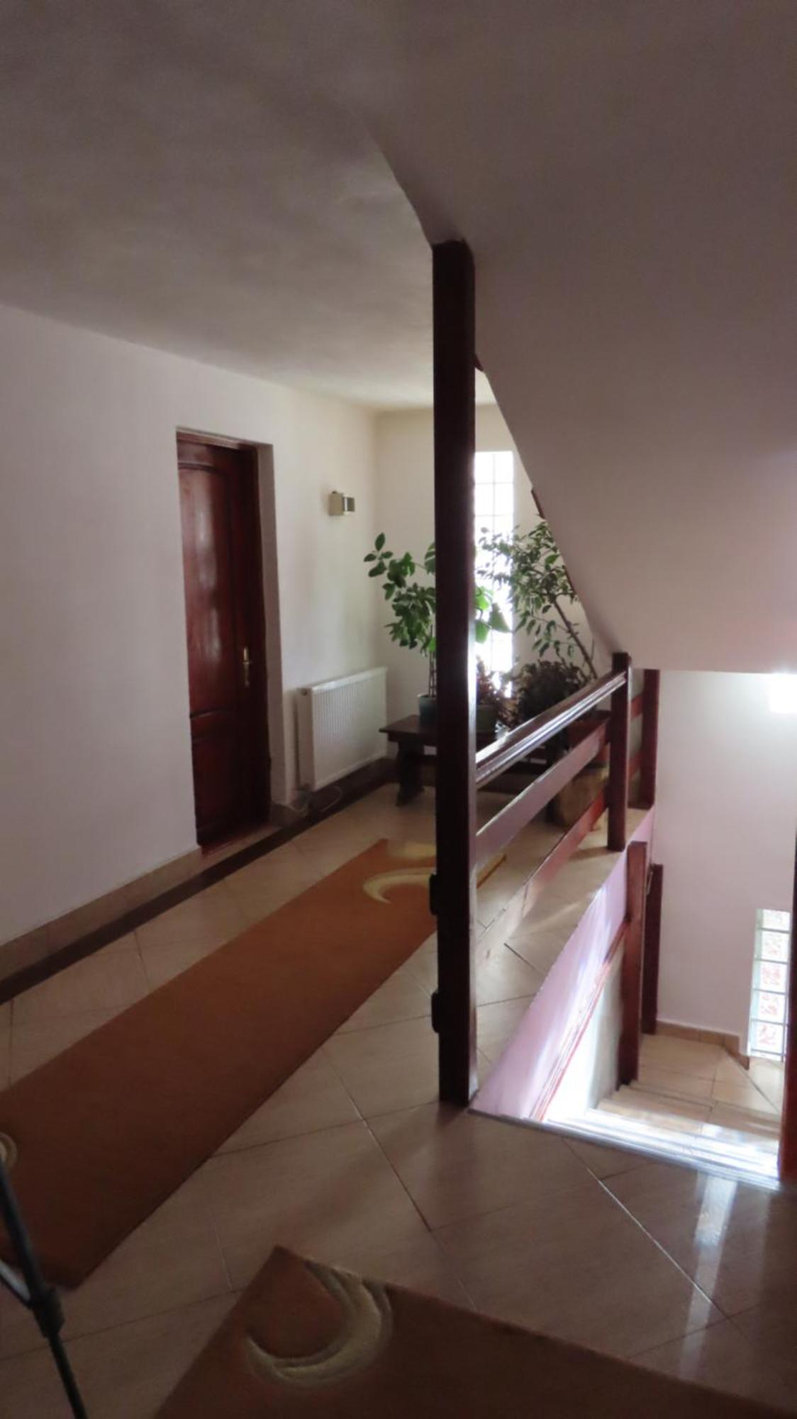 Vila Nik Buşteni Exteriér fotografie