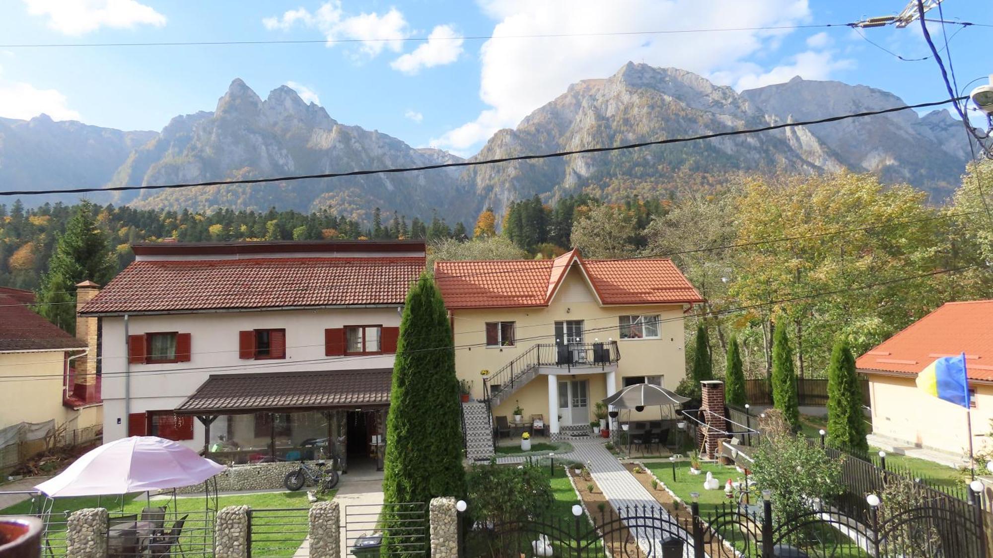 Vila Nik Buşteni Exteriér fotografie
